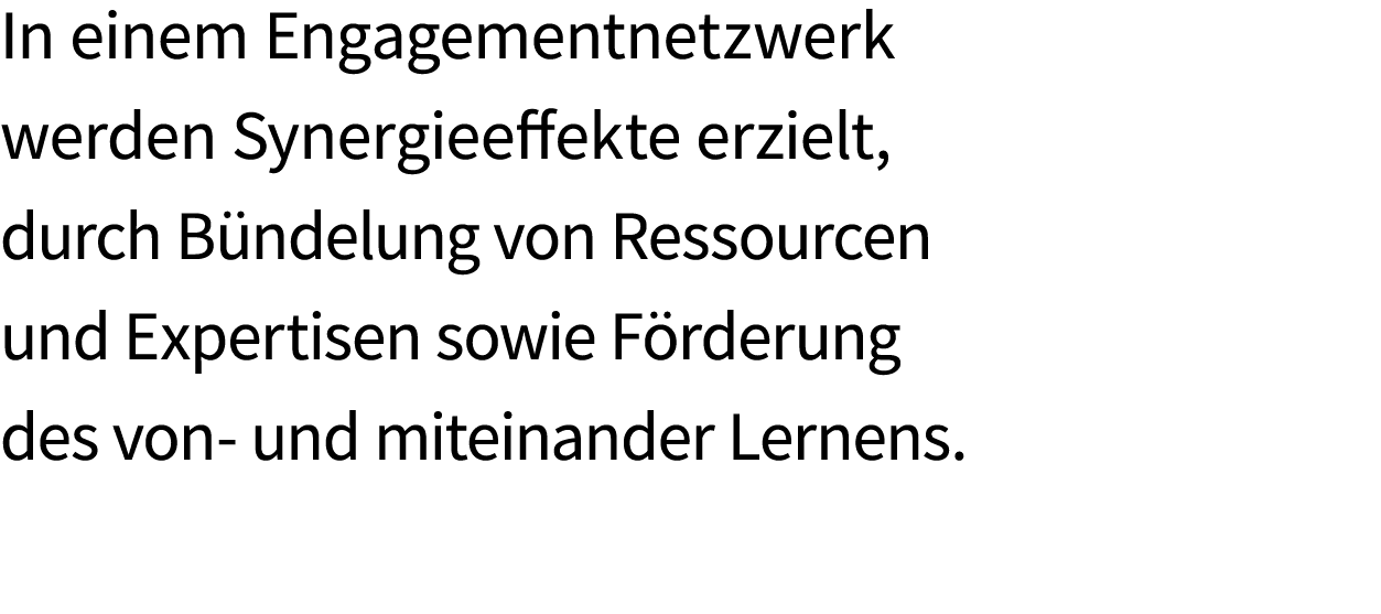 In einem Engagementnetzwerk werden Synergie­effekte erzielt, durch B ndelung von Ressourcen und Expertisen sowie F rd...