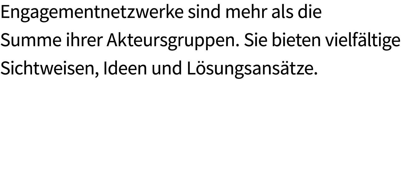 Engagementnetzwerke sind mehr als die Summe ihrer Akteursgruppen. Sie bieten vielf ltige Sichtweisen, Ideen und L sun...